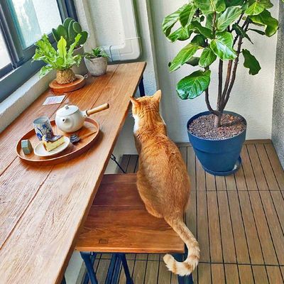 Un buen precio. Tejas de cubierta de madera versátiles Cuadrado a prueba de agua para uso al aire libre en línea